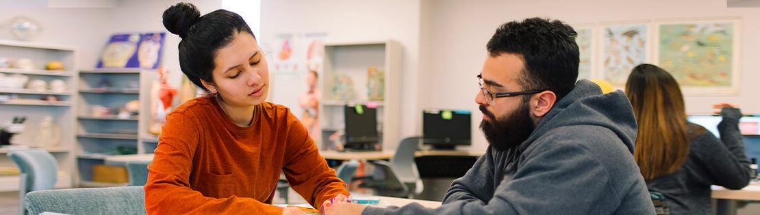 A Tutor assists another student in a campus library